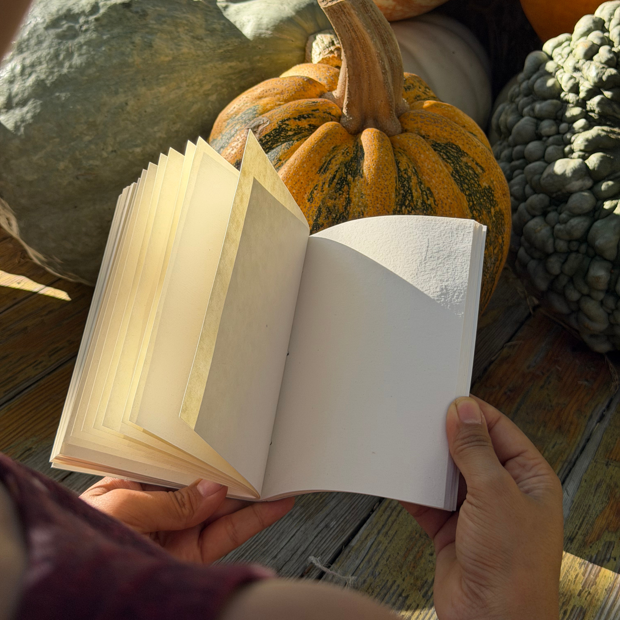 Pocket Notebooks Gift Set - Rajwada Life