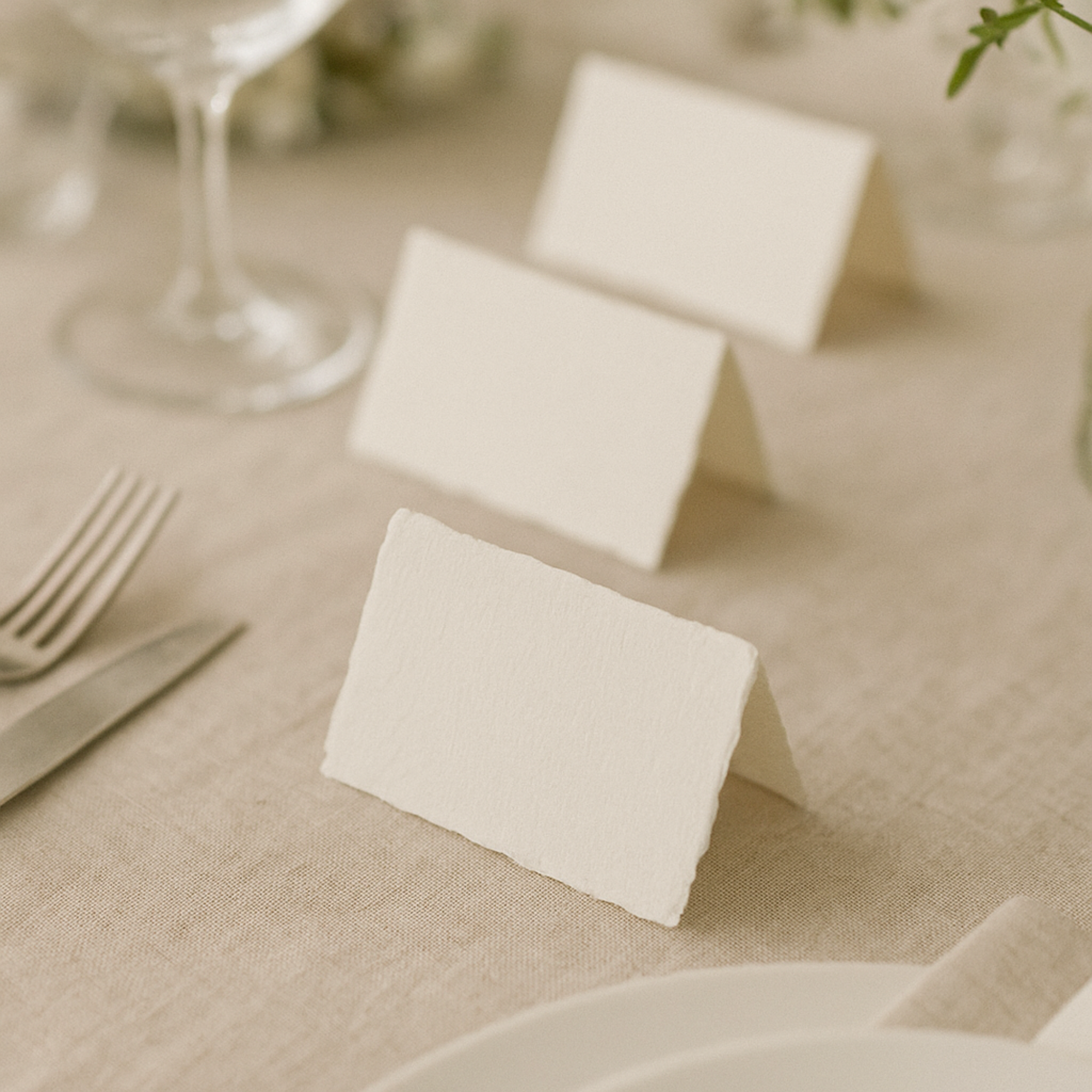 Deckled Edge Placecards