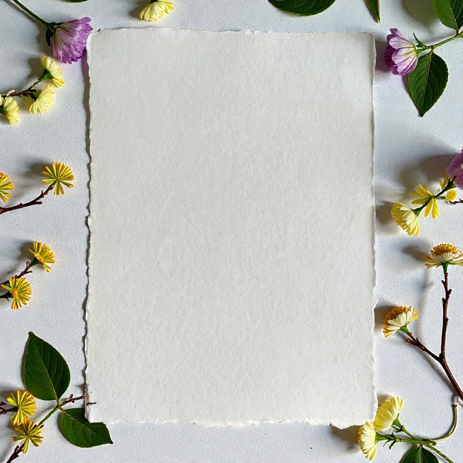 Deckled Edge Cotton Rag Paper 200gsm (Set of 25) - DecoyGalleries